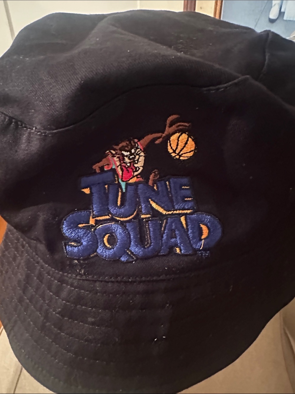 Warner Bros. Tune Squad Embroidered Black Bucket Hat with Blue & Gold Logo